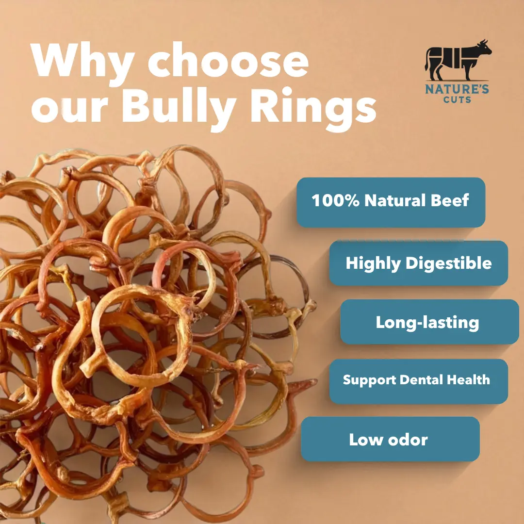 4" Bully Rings Display Box