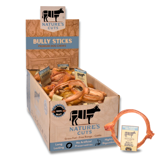 4" Bully Rings Display Box