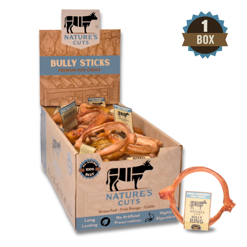 4" Bully Rings Display Box