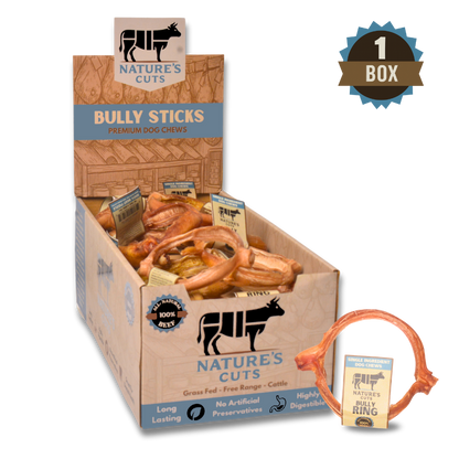 4" Bully Rings Display Box