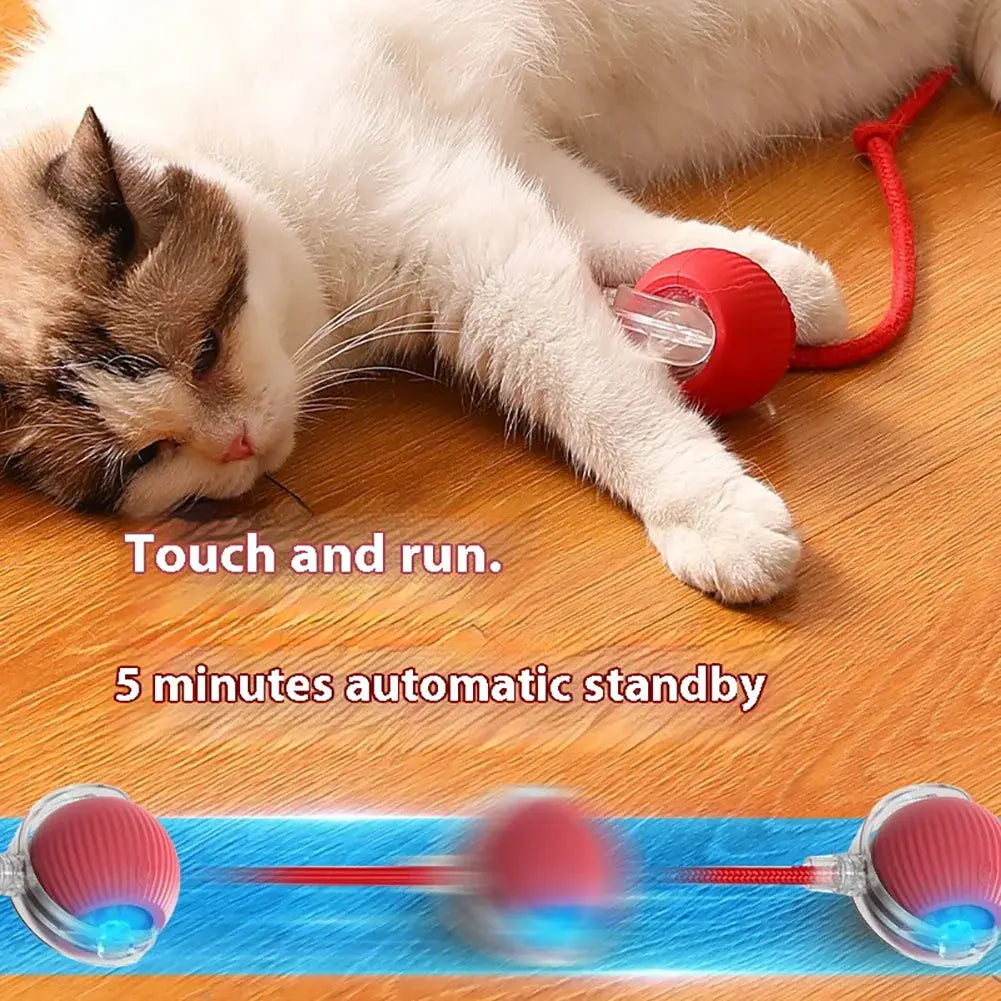 Smart Rechargeable Cat & Dog Interactive Rolling Toy