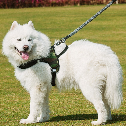 Dog Chest Harness