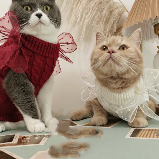 Cozy Pet Knitwear