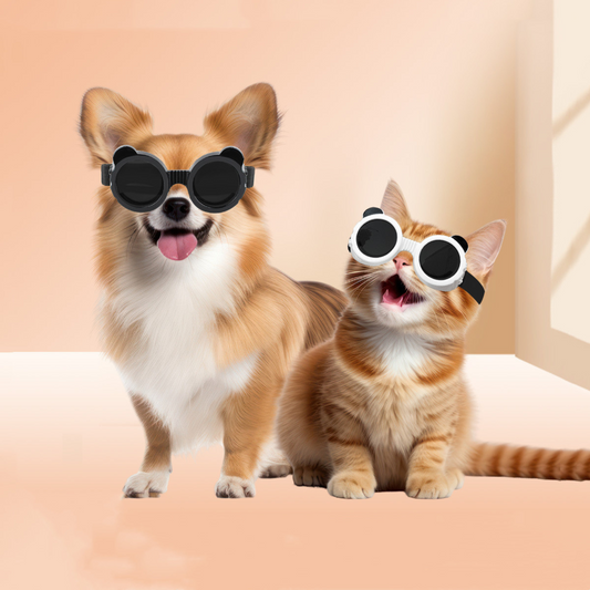 Pet Sun Goggles