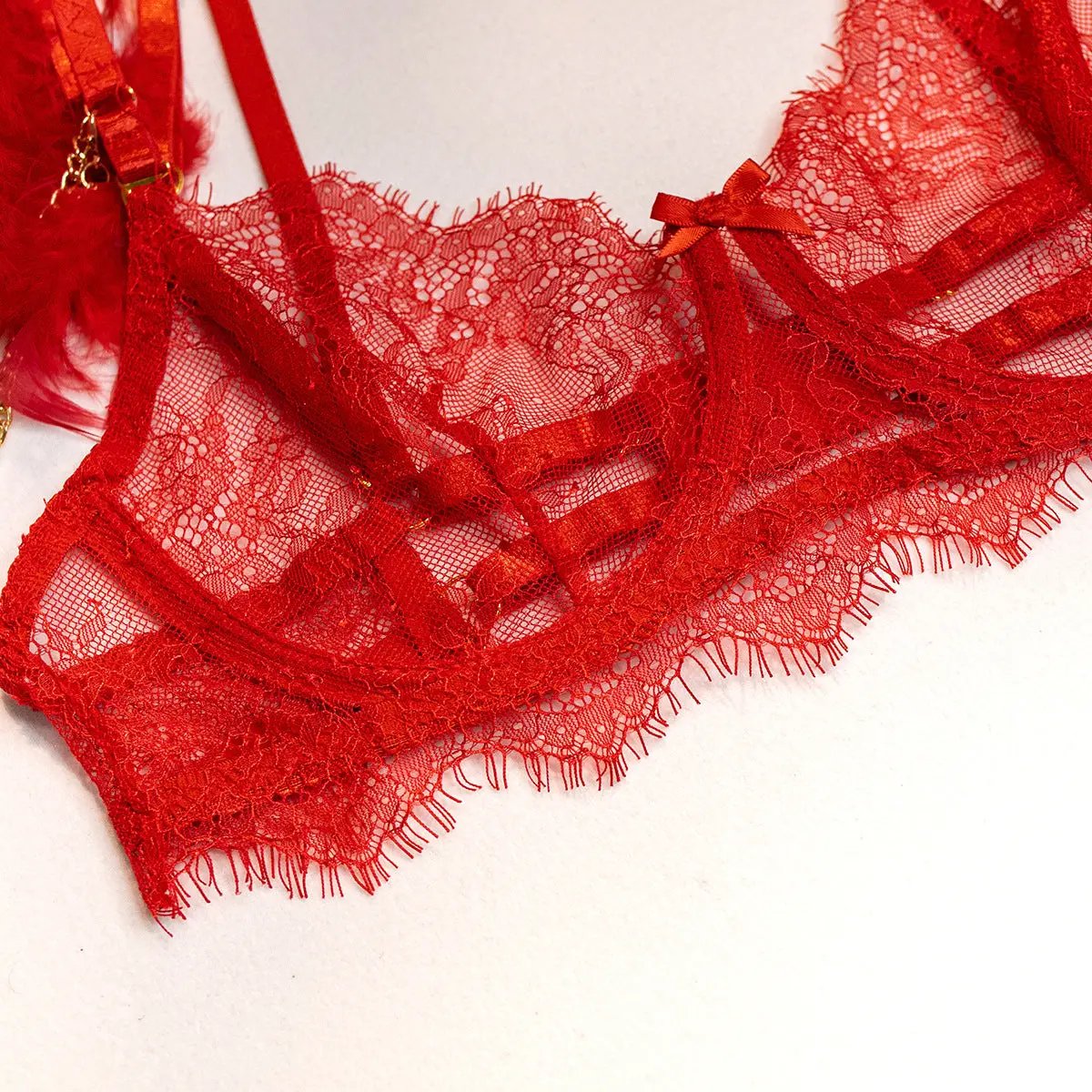 Wholesale Sexy Lace Bra and Panties Set with Feather Details-26