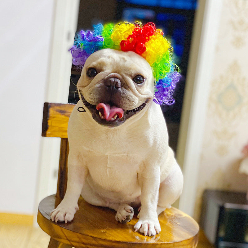 Pet Hair Accessory
