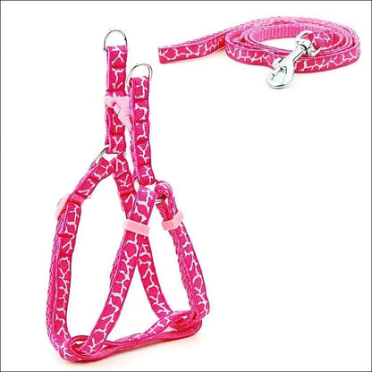 Pet Adventure Chest Strap Leash - Premium Quality Dog And Cat Walking Harness