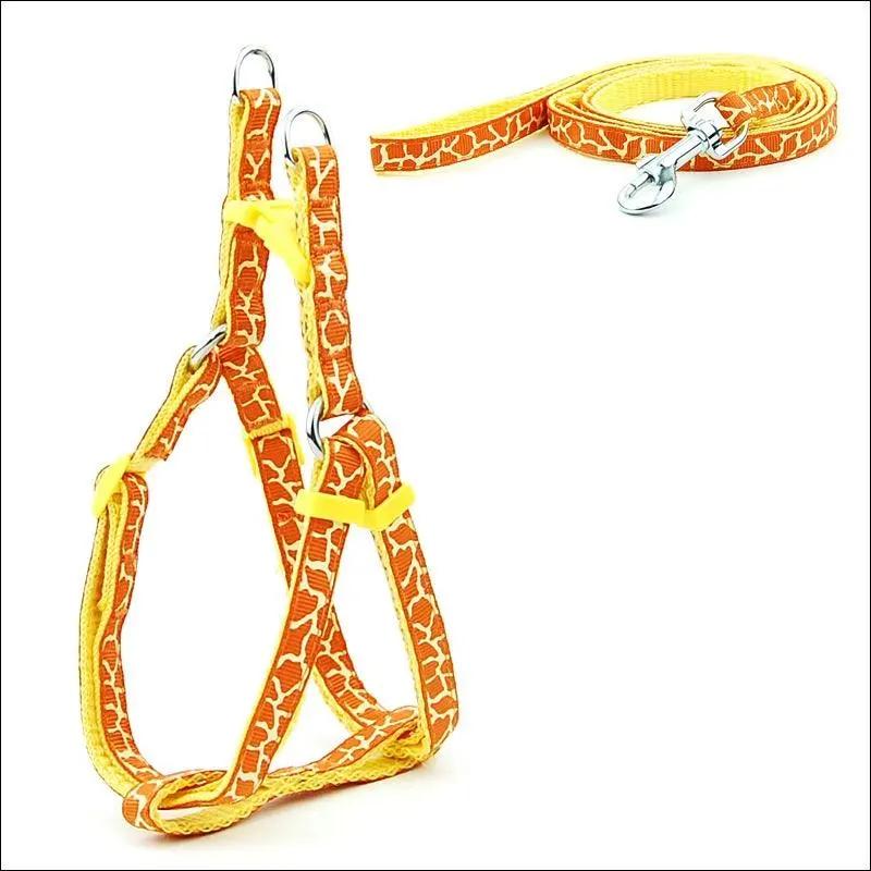 Pet Adventure Chest Strap Leash - Premium Quality Dog And Cat Walking Harness