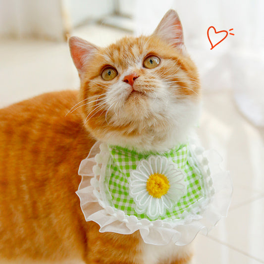 Stylish Pet Towel