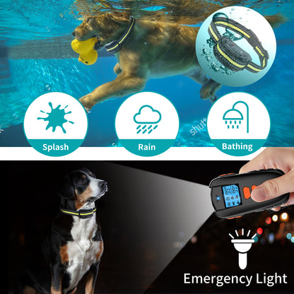 Pet Training Device