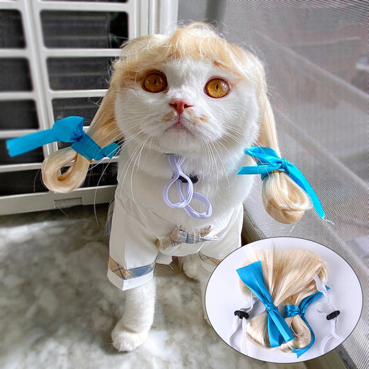 Halloween Pet Costume