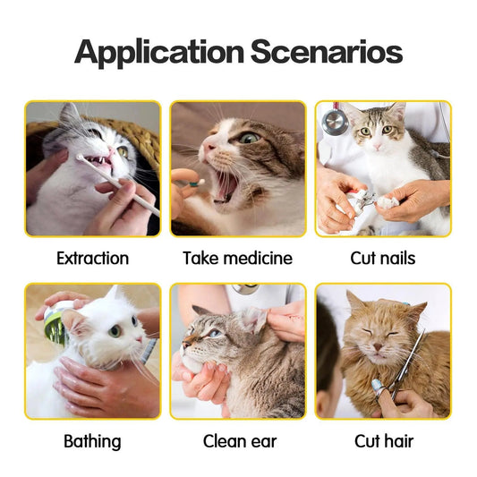 Anti-Scratch And Bite Cat Travel Bag With Double Lining - Stylish And Secure Pet Carrier