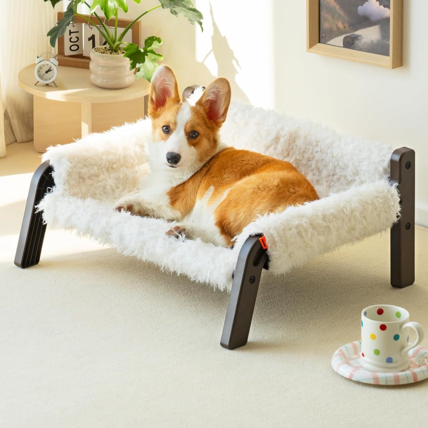 Elevated Pet Sofa