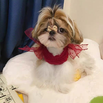 Cozy Pet Knitwear