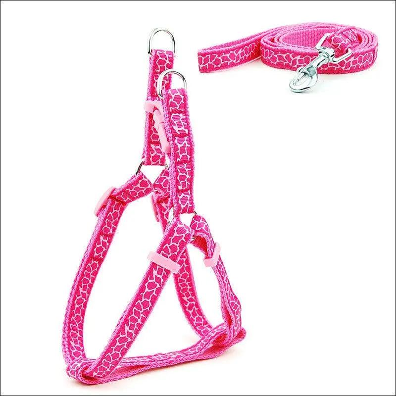 Pet Adventure Chest Strap Leash - Premium Quality Dog And Cat Walking Harness
