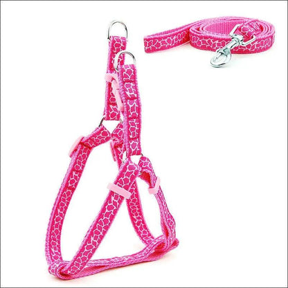 Pet Adventure Chest Strap Leash - Premium Quality Dog And Cat Walking Harness