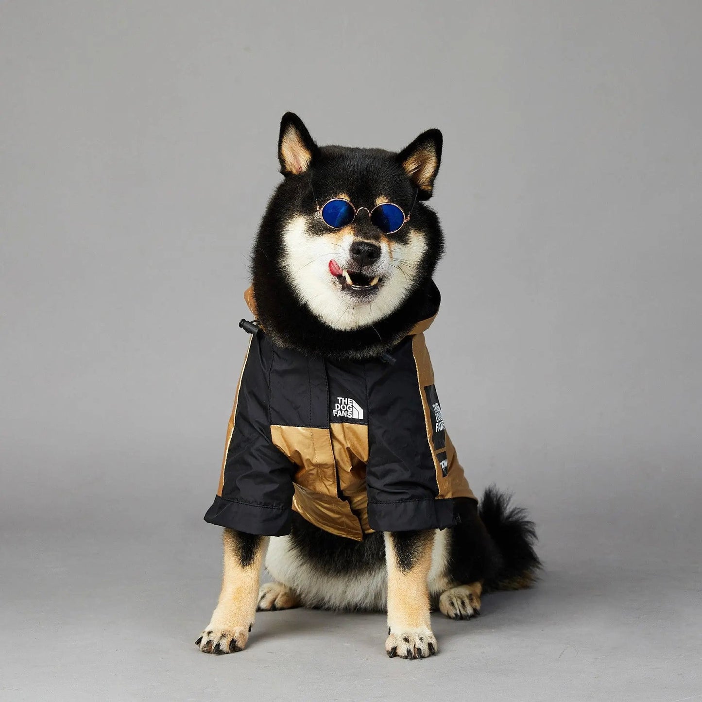 Golden Dog Raincoat - Stylish And Waterproof Pet Jacket