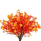 Autumn Red Small Horn Plum