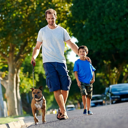 Durable Puppy Leash