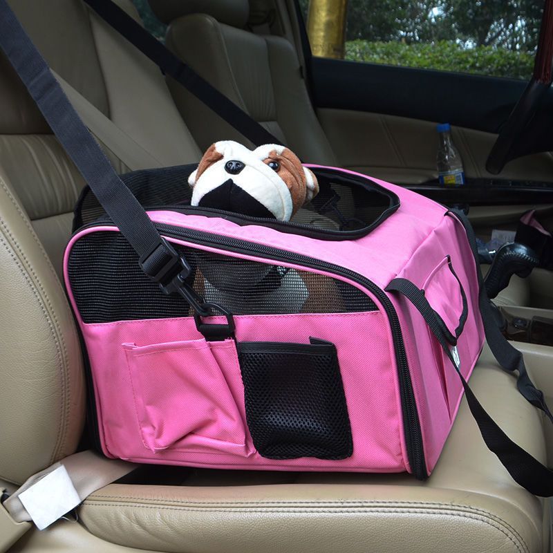 Portable Pet Carrier
