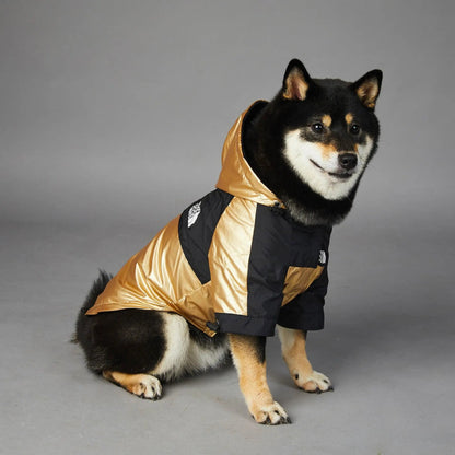 Golden Dog Raincoat - Stylish And Waterproof Pet Jacket