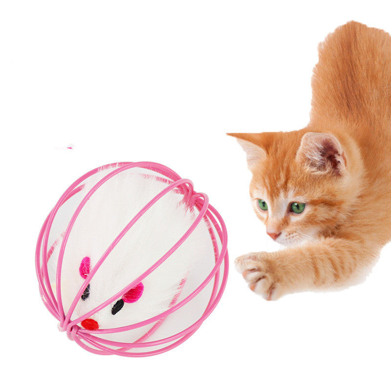 Pet Plush Toy