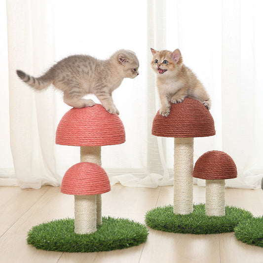 Mushroom Pet Scratcher