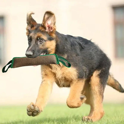 chew toys for cats and dogs