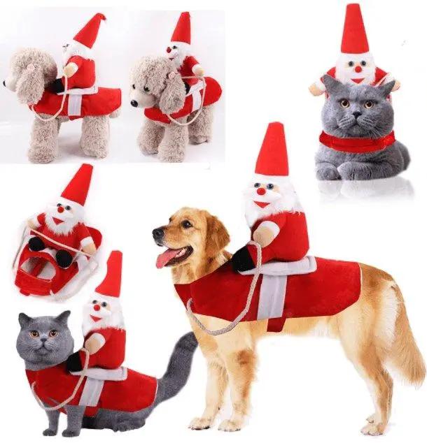 Cozy Paws Winter Pet Apparel: Stylish And Warm Clothes For Dogs And Cats