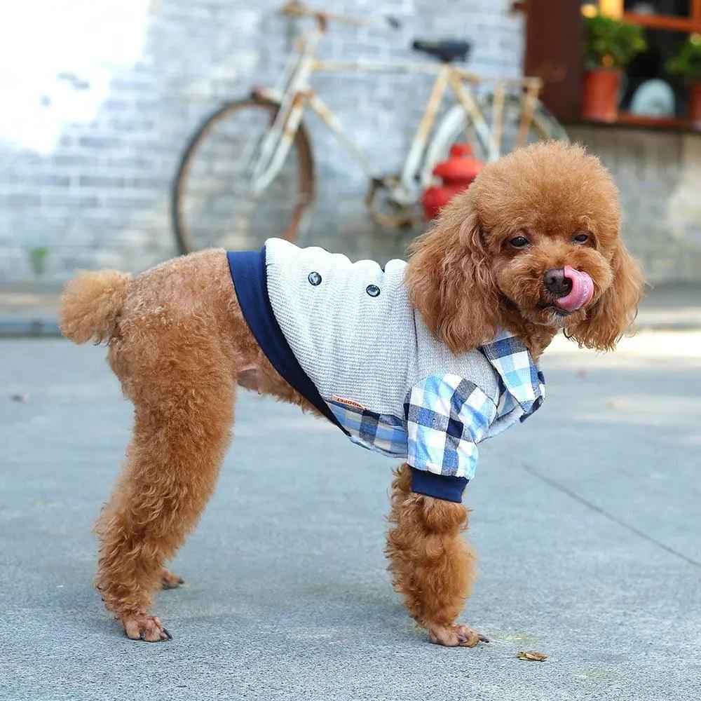 Cozycanine Pet Apparel: Stylish And Comfortable Dog Clothing