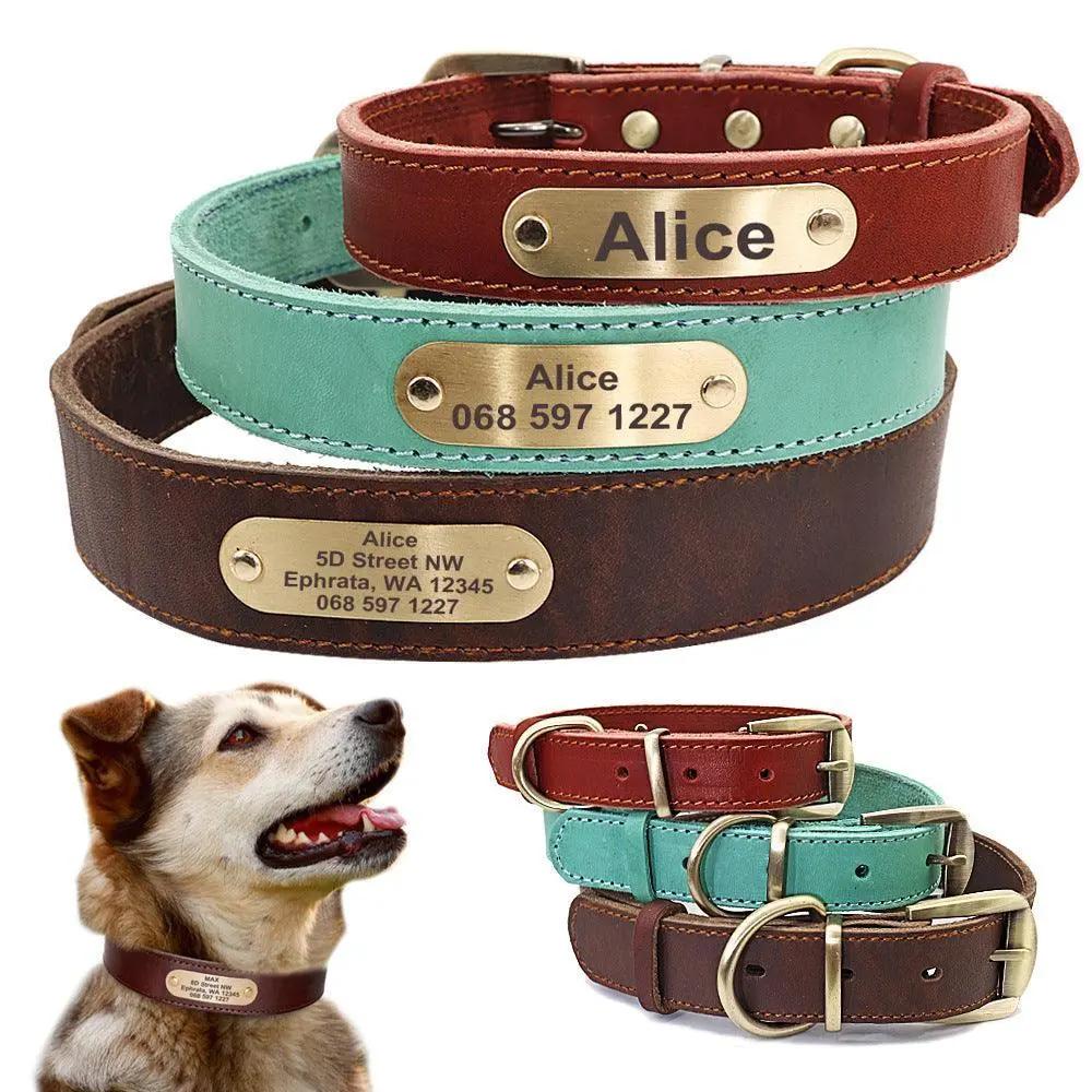 Custom Engraved Leather Dog Collar With Golden Nameplate - Personalized Identification For Medium To Large Dogs