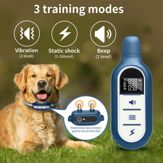 Training Pet Remote