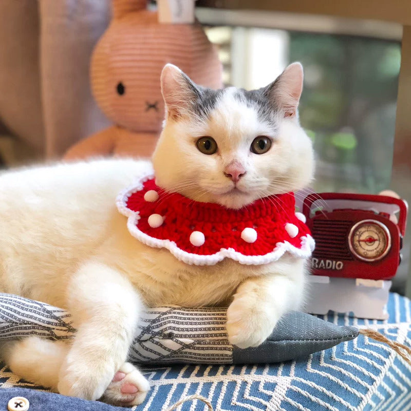 Pet Saliva Towels