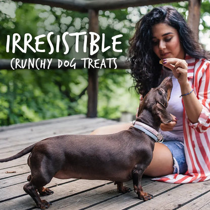 Fruitables Pumpkin & Cranberry Mix Dog Treats (8x7 Oz)