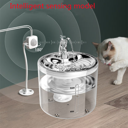Automatic Pet Dispenser