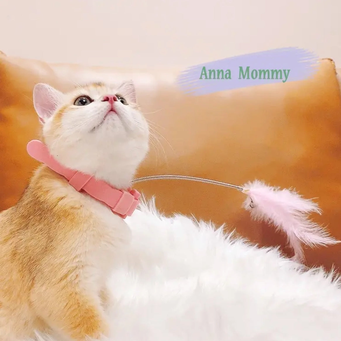 Self-Hi Cat Toy