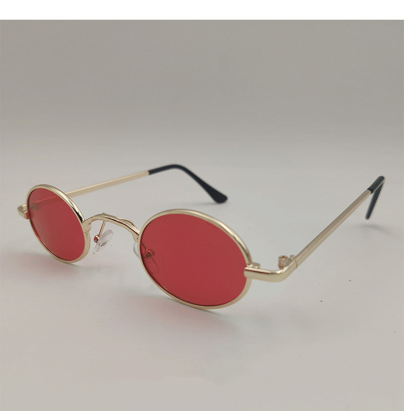 Pet Goggles Toy