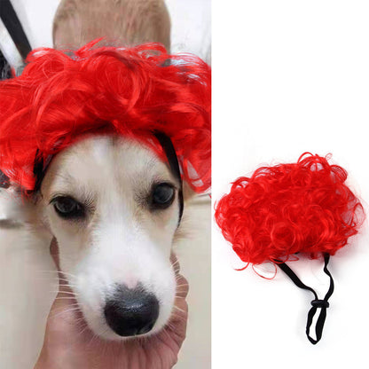 Halloween Pet Costume