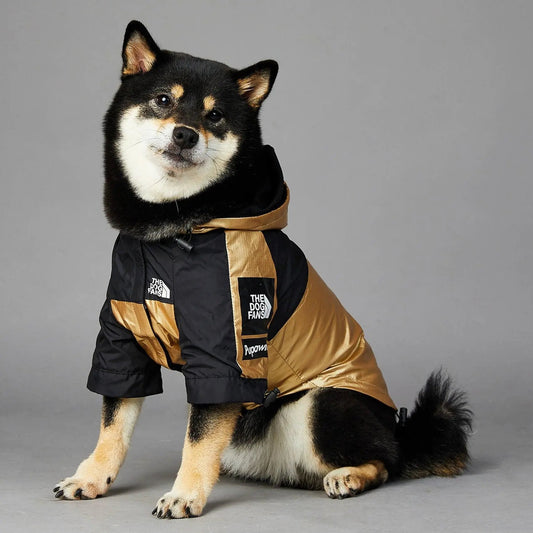 Golden Dog Raincoat - Stylish And Waterproof Pet Jacket