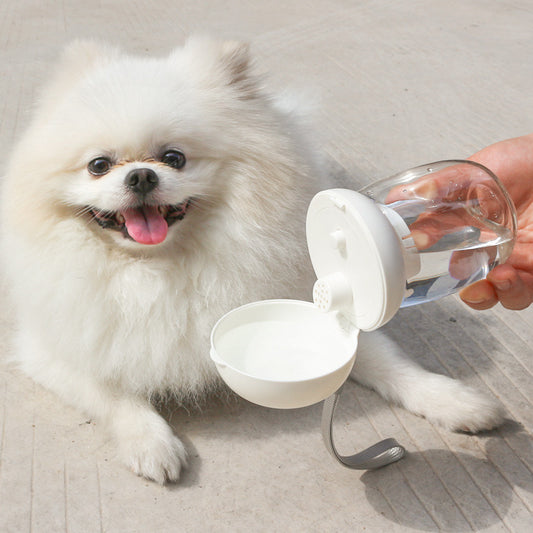 Portable Pet Bottle