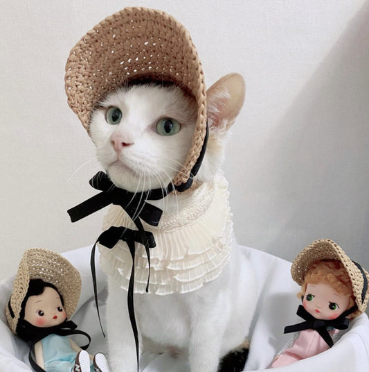 Lace Pet Hat