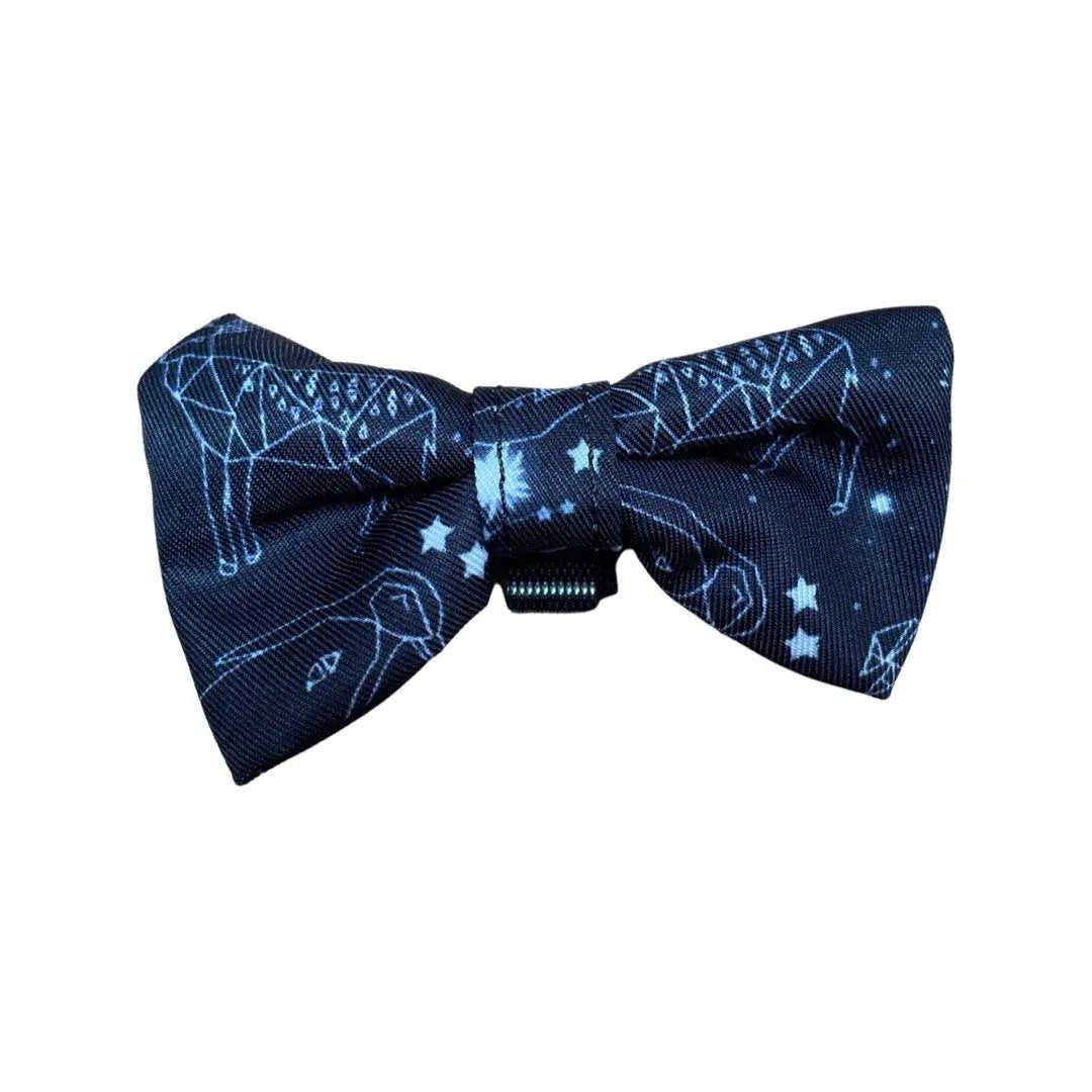 Animal Constellation (7-Piece, Full Dog Accessories Set) by Doggy Days