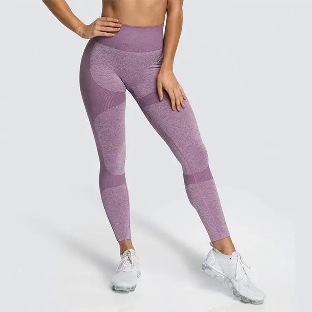 High Waist Yoga Pants Seamless Women Sports Leggings Fitness