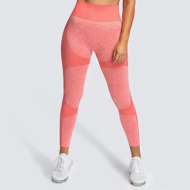 High Waist Yoga Pants Seamless Women Sports Leggings Fitness