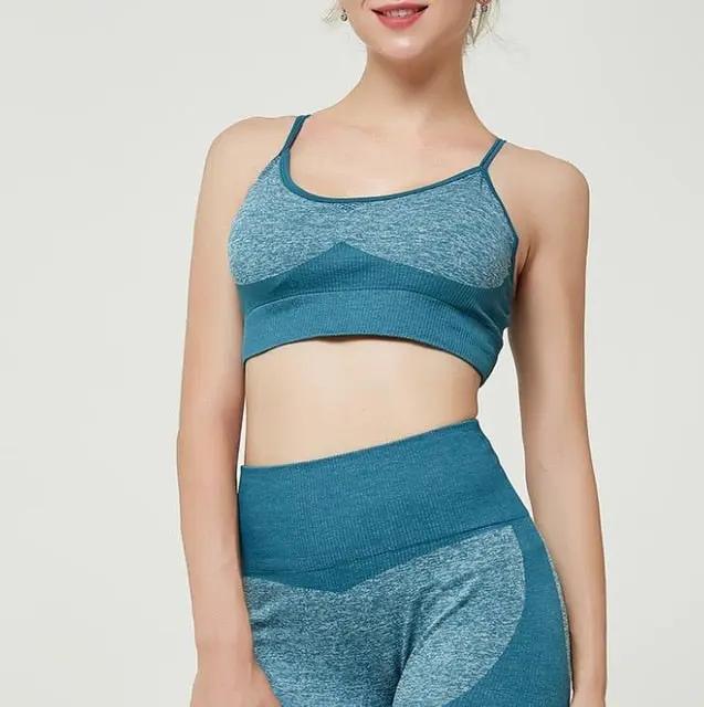 High Waist Yoga Pants Seamless Women Sports Leggings Fitness